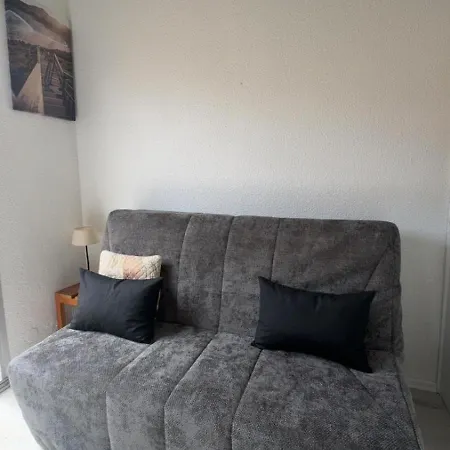 House With Terrace And Residential Swimming Pool Apartment Agde
